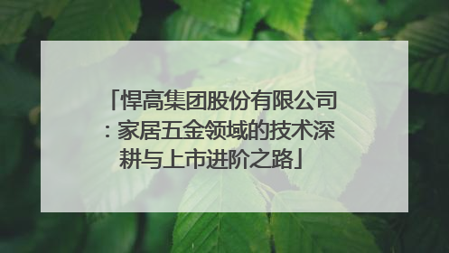 悍高集团股份有限公司：家居五金领域的技术深耕与上市进阶之路