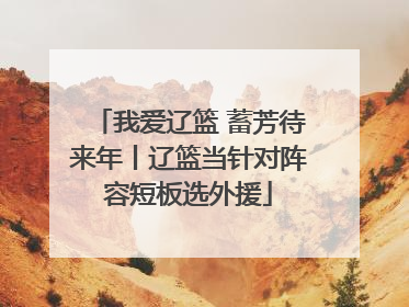 我爱辽篮 蓄芳待来年丨辽篮当针对阵容短板选外援