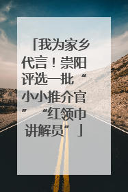 我为家乡代言！崇阳评选一批“小小推介官”“红领巾讲解员”