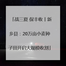 战三夏 保丰收丨新乡县：20万亩小麦种子田开启大规模收割