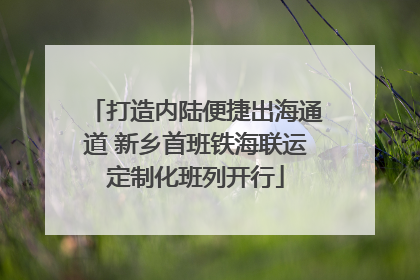 打造内陆便捷出海通道 新乡首班铁海联运定制化班列开行