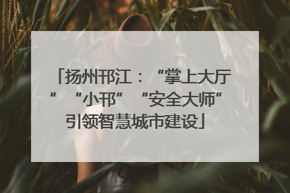 扬州邗江：“掌上大厅”“小邗”“安全大师”引领智慧城市建设
