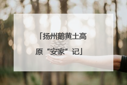 扬州鹅黄土高原“安家”记