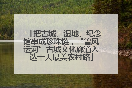 把古城、湿地、纪念馆串成珍珠链，“鲁风运河”古城文化廊道入选十大最美农村路