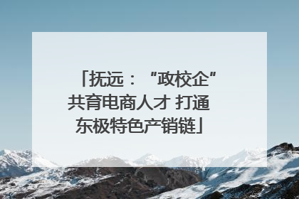 抚远：“政校企”共育电商人才 打通东极特色产销链