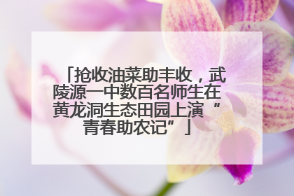 抢收油菜助丰收，武陵源一中数百名师生在黄龙洞生态田园上演“青春助农记”