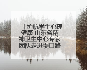 护航学生心理健康 山东省精神卫生中心专家团队走进堤口路小学