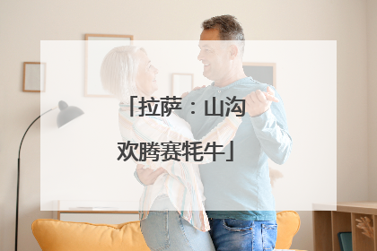 拉萨：山沟欢腾赛牦牛