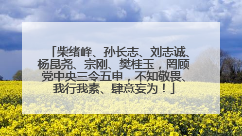 柴绪峰、孙长志、刘志诚、杨昆尧、宗刚、樊桂玉，罔顾党中央三令五申，不知敬畏、我行我素、肆意妄为！