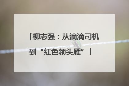 柳志强：从滴滴司机到“红色领头雁”