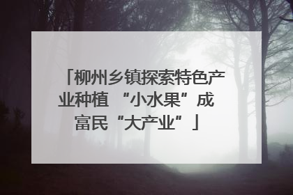 柳州乡镇探索特色产业种植 “小水果”成富民“大产业”
