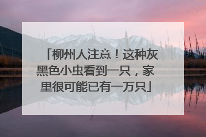 柳州人注意！这种灰黑色小虫看到一只，家里很可能已有一万只
