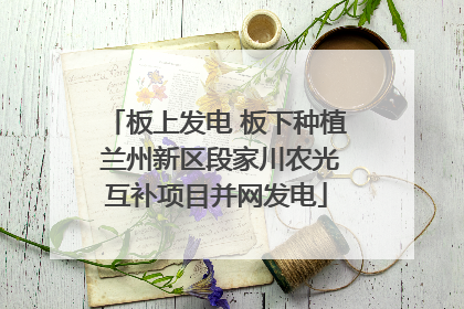 板上发电 板下种植 兰州新区段家川农光互补项目并网发电