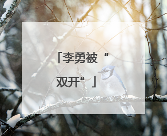 李勇被“双开”