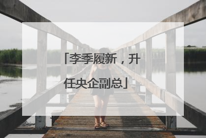李季履新，升任央企副总