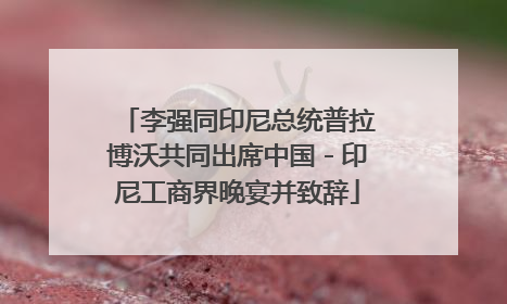 李强同印尼总统普拉博沃共同出席中国－印尼工商界晚宴并致辞