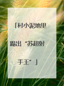 村小泥地里踢出“苏超射手王”