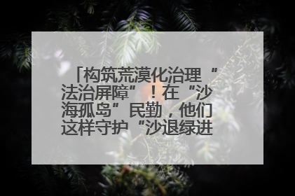 构筑荒漠化治理“法治屏障”！在“沙海孤岛”民勤，他们这样守护“沙退绿进”的生态奇迹