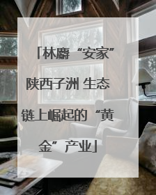 林麝“安家”陕西子洲 生态链上崛起的“黄金”产业
