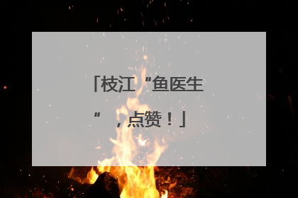 枝江“鱼医生”，点赞！