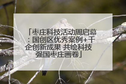 枣庄科技活动周启幕：国创区优秀案例+千企创新成果 共绘科技强国枣庄画卷