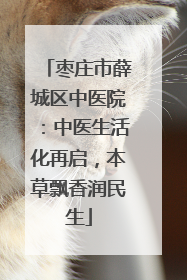 枣庄市薛城区中医院：中医生活化再启，本草飘香润民生