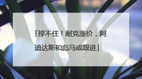 撑不住！耐克涨价，阿迪达斯和彪马或跟进