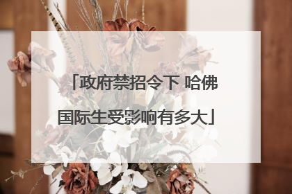 政府禁招令下 哈佛国际生受影响有多大