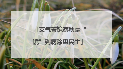 支气管镜察秋毫“镜”到病除惠民生