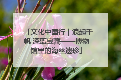 文化中国行｜浪起千帆 深蓝宝藏——博物馆里的海丝遗珍