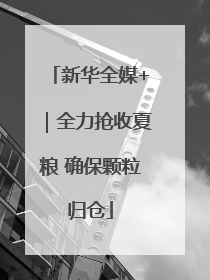 新华全媒+｜全力抢收夏粮 确保颗粒归仓