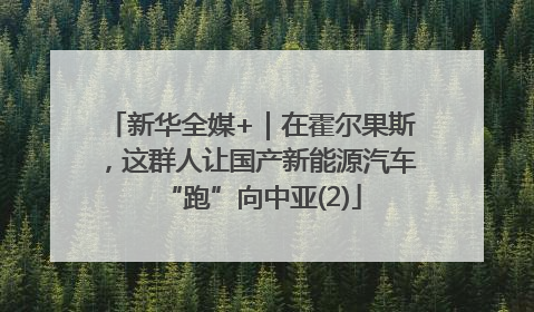 新华全媒+｜在霍尔果斯，这群人让国产新能源汽车“跑”向中亚(2)