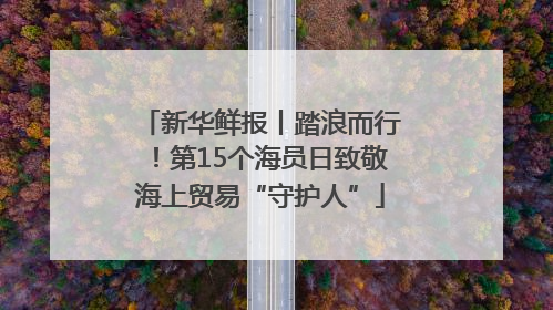 新华鲜报丨踏浪而行！第15个海员日致敬海上贸易“守护人”