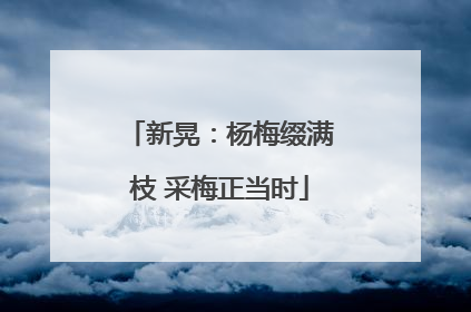 新晃：杨梅缀满枝 采梅正当时