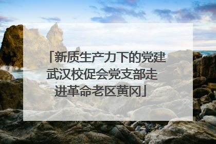 新质生产力下的党建 武汉校促会党支部走进革命老区黄冈