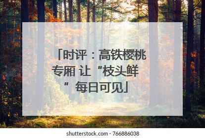 时评：高铁樱桃专厢 让“枝头鲜”每日可见
