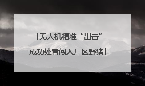 无人机精准“出击” 成功处置闯入厂区野猪