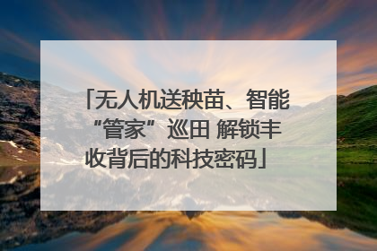 无人机送秧苗、智能“管家”巡田 解锁丰收背后的科技密码