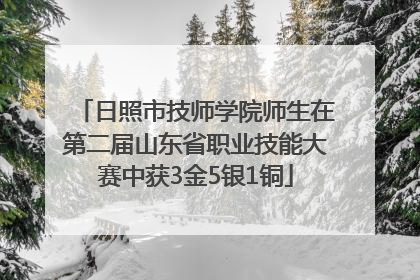 日照市技师学院师生在第二届山东省职业技能大赛中获3金5银1铜