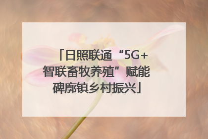 日照联通“5G+智联畜牧养殖”赋能碑廓镇乡村振兴