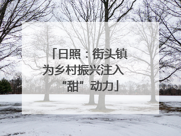 日照：街头镇为乡村振兴注入“甜”动力