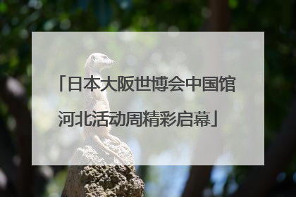 日本大阪世博会中国馆河北活动周精彩启幕