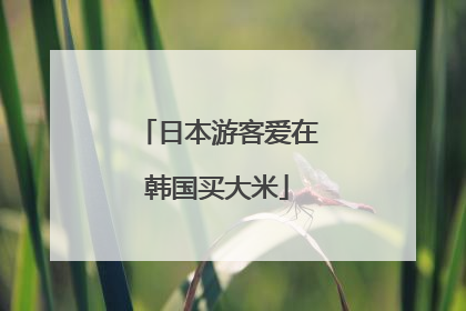 日本游客爱在韩国买大米