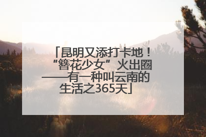 昆明又添打卡地！“簪花少女”火出圈——有一种叫云南的生活之365天