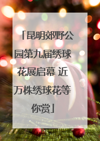 昆明郊野公园第九届绣球花展启幕 近万株绣球花等你赏