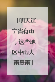 明天辽宁省有雨，这些地区中雨大雨暴雨