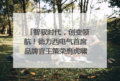 智驭时代，创变领航！德力西电气首席品牌官王策荣膺虎啸奖年度品牌人物