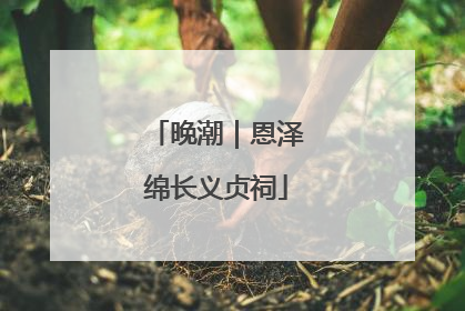 晚潮｜恩泽绵长义贞祠