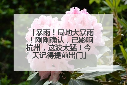 暴雨！局地大暴雨！刚刚确认，已影响杭州，这波太猛！今天记得提前出门