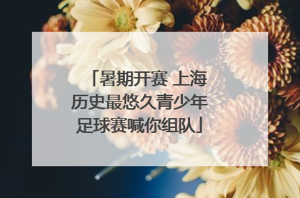 暑期开赛 上海历史最悠久青少年足球赛喊你组队